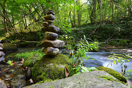 Stones on shore of forest river