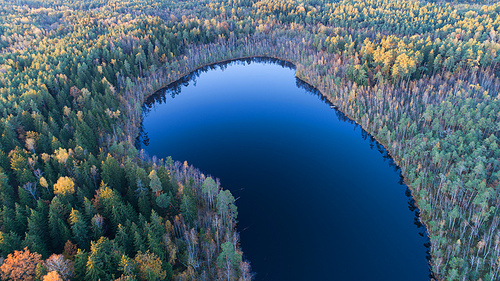 Beautiful autumn landscape of lake and trees