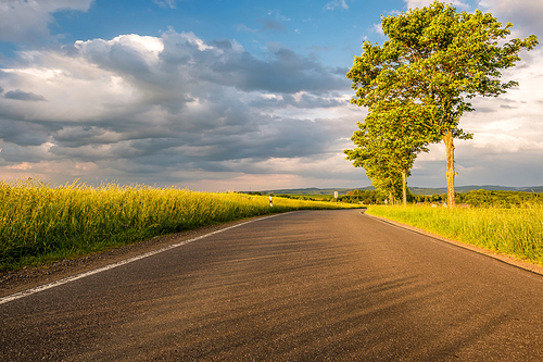 Rural road between fields in warm sunshine under dramatic sky, fresh vibrant colors, at Rhine Valley (Rhine Gorge) in Germany