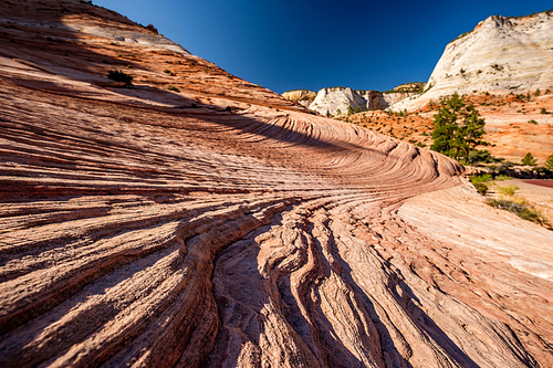 Landscape with rock formations in Zion National Park, Utah, USA