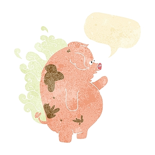 cartoon fat smelly pig with speech bubble
