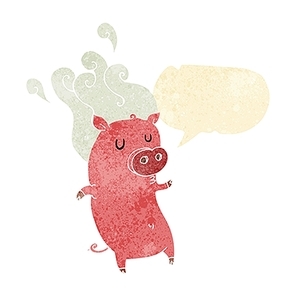 smelly cartoon pig with speech bubble