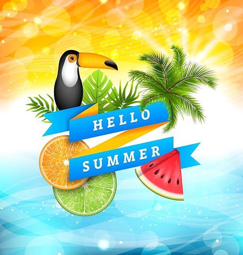 Summer Poster Design with Parrot Toucan, Slices of Watermelon, Orange and Lime, Palm Tree Leaves. Ribbon Banner Hello Summer - Illustration Vector