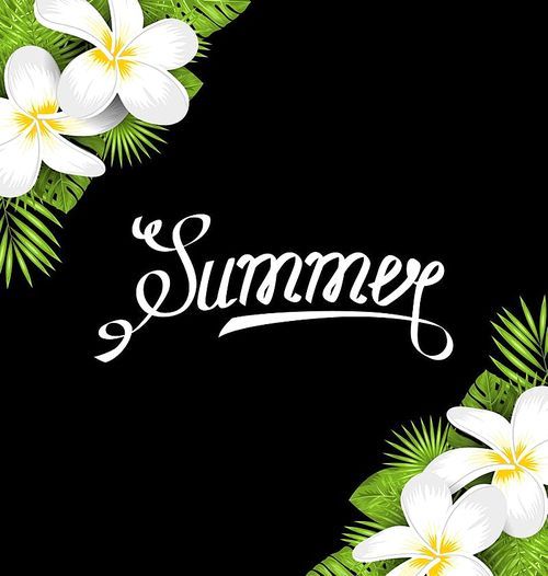 Summer Border with Frangipani Flowers and Green Tropical Leaves, Lettering Calligraphic - Illustration Vector