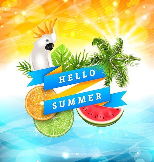 Summer Funny Poster Design with Parrot Cockatoo, Slices of Watermelon, Orange and Lime, Palm Tree Leaves. Ribbon Banner Hello Summer - Illustration Vector