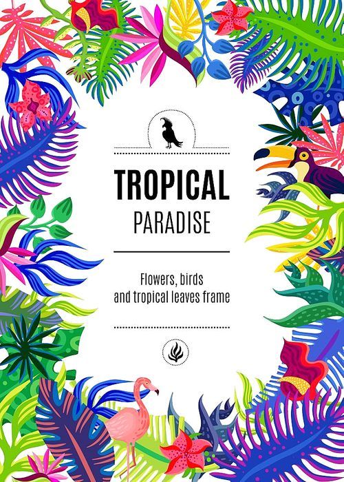 Tropical paradise exotic plants flowers and birds colorful bright ornamental rectangular frame background poster abstract vector illustration