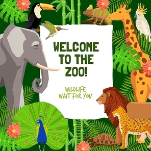 Colorful poster with tropical animals and invitation to visit zoo flat vector illustration
