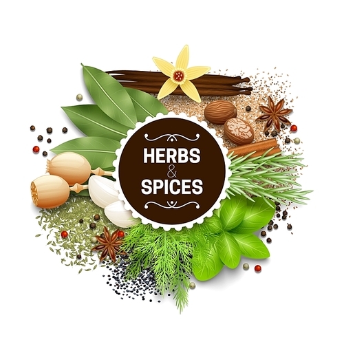 Illustration of set with different types of herbs and spices vector illustration