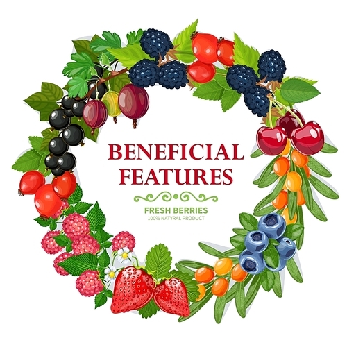 Fresh wild and garden harvested berries wreath natural colorful decorative frame background  abstract vector illustration