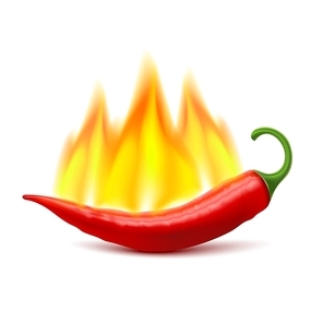 Flaming red chili pepper pod image as symbol of spicy world hottest food ingredient realistic vector illustration