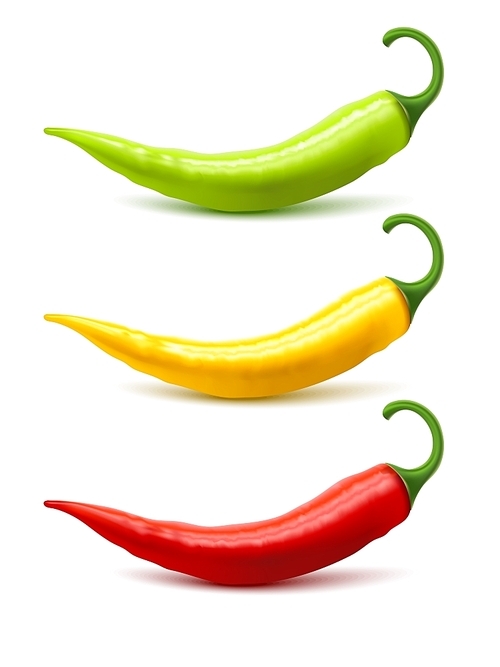 Hot chili peppers pods red yellow and green realistic image on white  with shadow isolated vector illustration