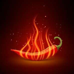 Flaming red chili pepper pod glowing in darkness hot dishes symbol single object poster realistic vector illustration