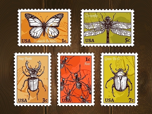 Set of postage stamps with insects drawn in sketch style on wooden background poster vector illustration