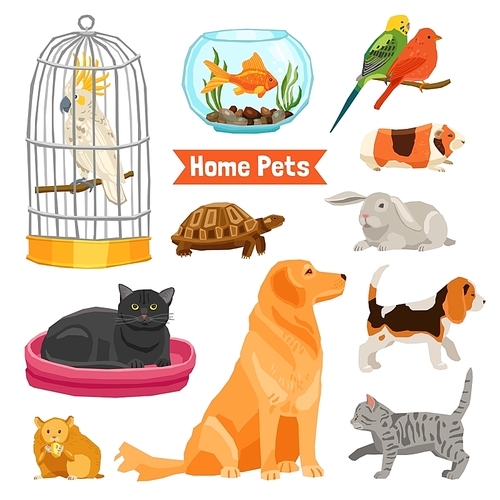 Big and small home pets set with dogs cats birds fish turtle hamster rabbit and guinea pig on white  flat isolated vector illustration