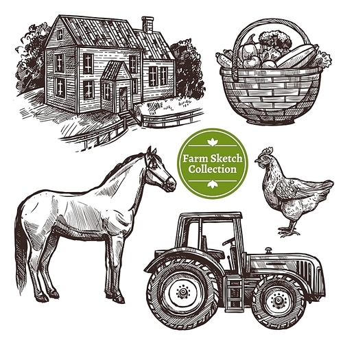 black and white farm hand drawn sketch set with horse hen farmhouse tractor and basket with vegetables on white  isolated vector illustration
