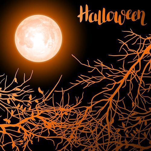 Halloween background with moon and tree branches. Invitation to party or greeting card.