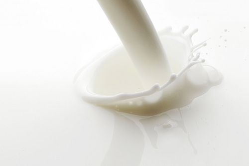 Pouring milk splash on white background macro