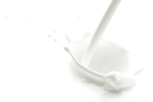 Pouring milk splash isolated on white