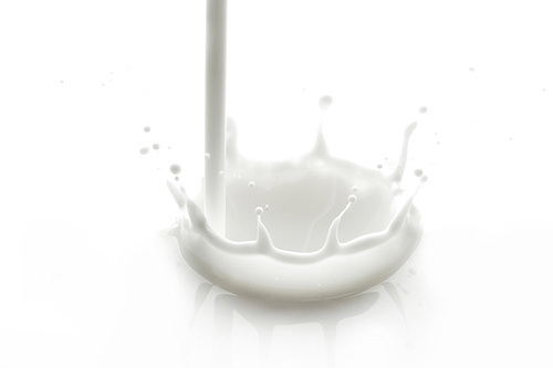 Pouring milk splash close-up on white background