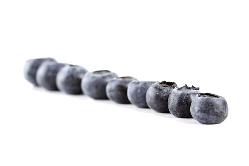 Blueberries in row - close-up