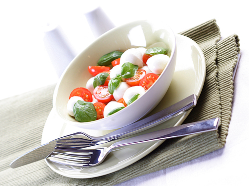 Close  - up of sliced tomatoes with mozarella