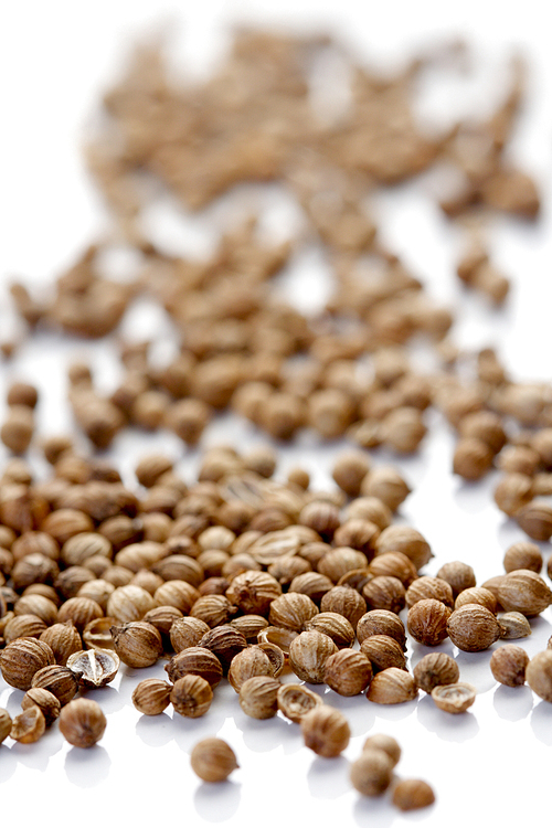 Closeup of died mustard seeds