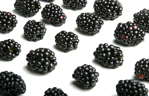 Studio shot of blackberries on white background