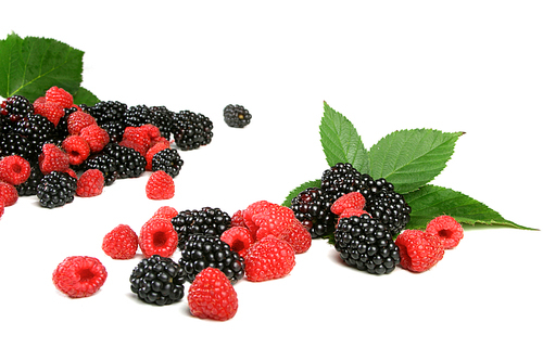 Berries on white backround - studio shot