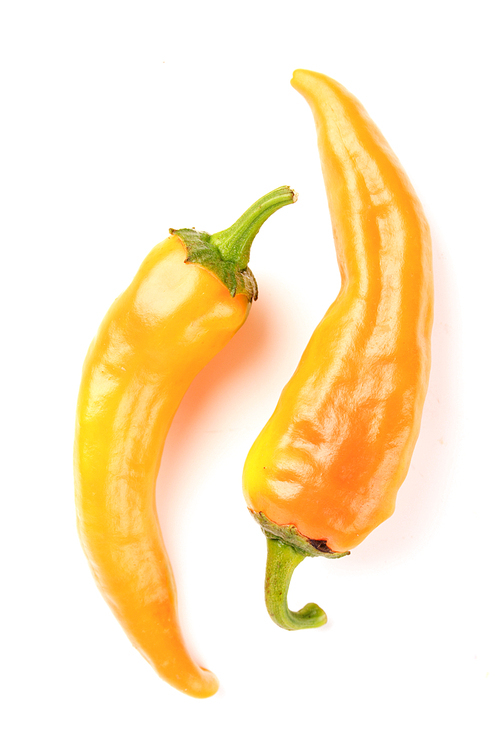 Studio shot of chilli peppers