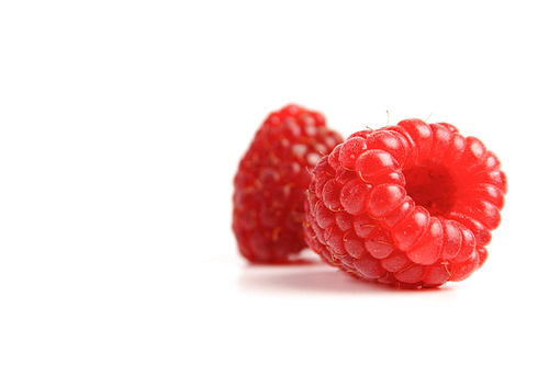 Studio shot of red raspberries