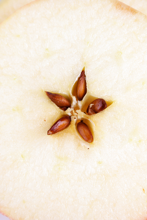 Close-up of apples seeds