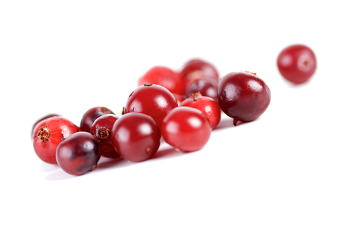 Cranberries on white background - studio shot