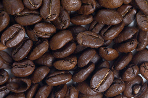 Coffee grains - close up