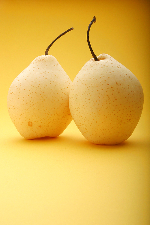 Two white pears - studio shot