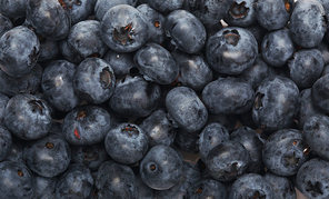 Blueberry