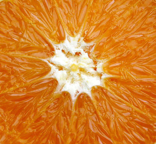 Orange slice  - close- up