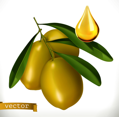 Olives and drop of oil. 3d realistic vector icon