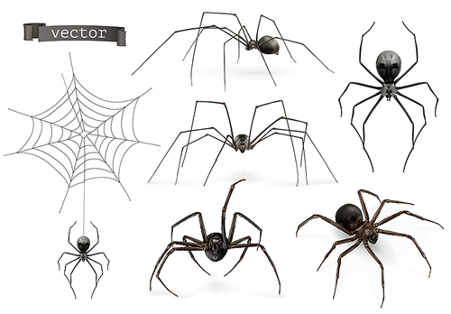 Realistic spider. Halloween 3d vector icon set