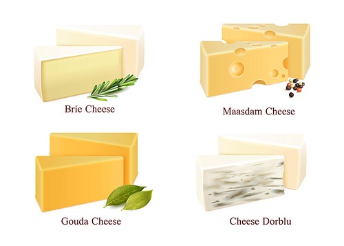 Set of cheese kinds in pieces brie, gouda, dorblu and maasdam with spices isolated vector illustration
