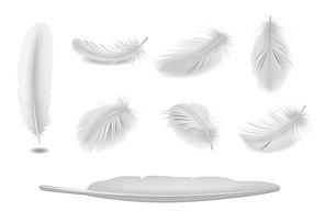 White clean bird feathers realistic set isolated vector illustration