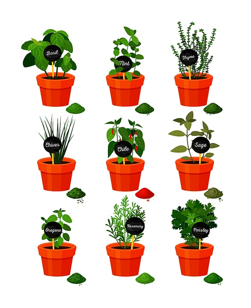 Set of useful herbs in brown pots with name labels on wooden stick and finished powder spice vector illustration isolated on white.