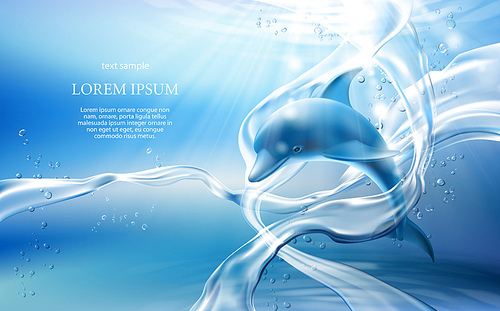 water theme vector art illustration