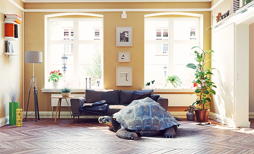 giant turtle in the living room. Photo & media creative concept photocombination