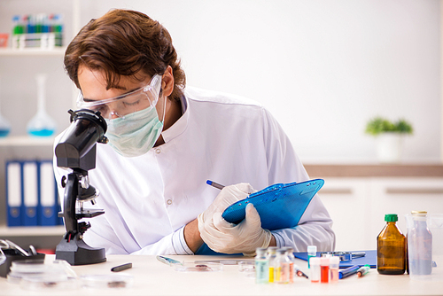 Male entomologist working in the lab on new species