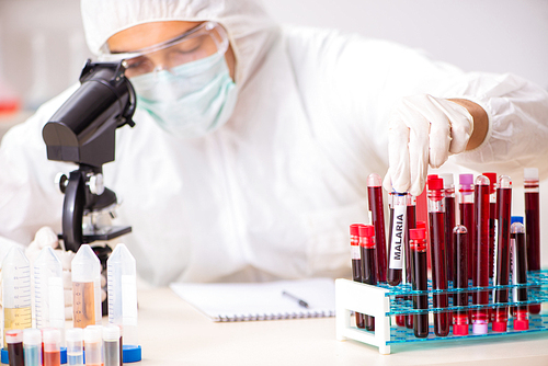 Young handsome lab assistant testing blood samples in hospital