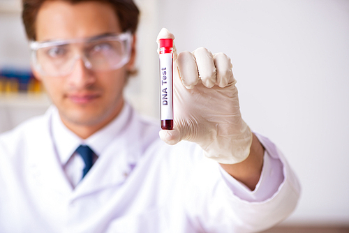 Young handsome lab assistant testing blood samples in hospital