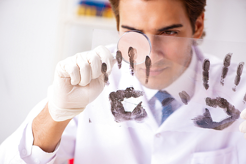 Forensic expert studying fingerprints in the lab