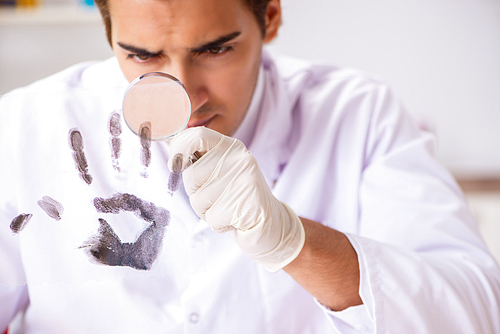 Forensic expert studying fingerprints in the lab