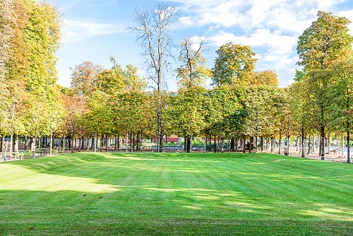 Green field with trees in Tuileries garden in Paris, France
