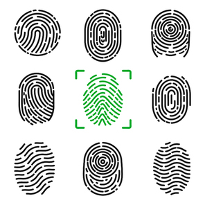 Collection of fingerprints, colorless images of prints of human and colorful one in frame, items on vector illustration isolated on white